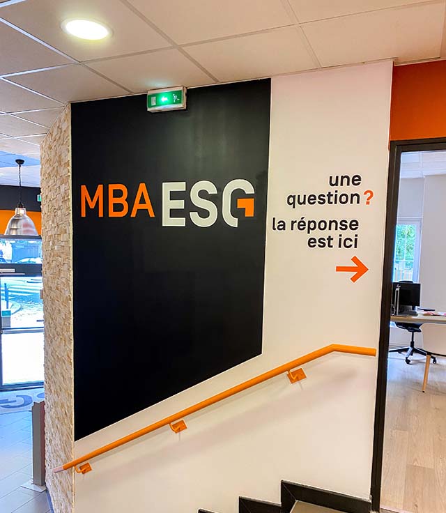 MBA Management de Projets