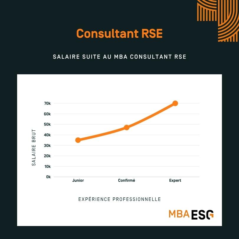 Devenir Consultant RSE