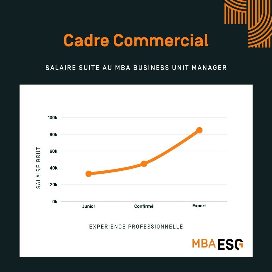 Cadre commercial salaire 