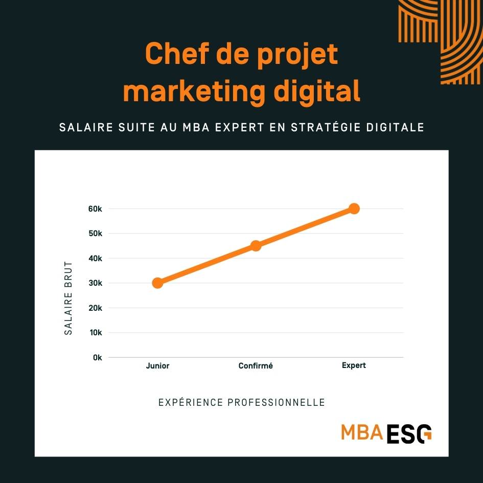 Chef de projet marketing digital