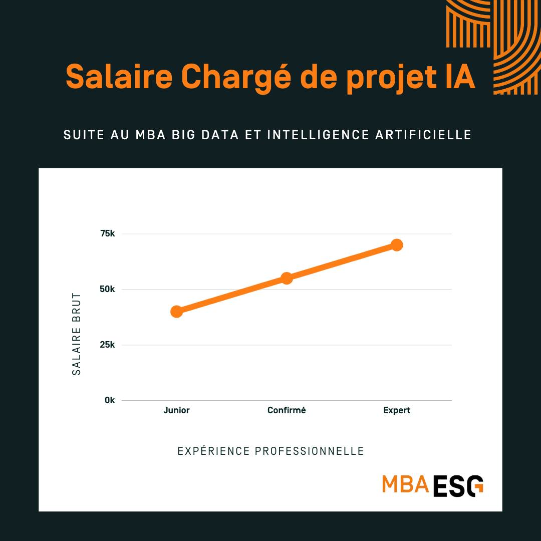 chargé de projet IA - MBA ESG