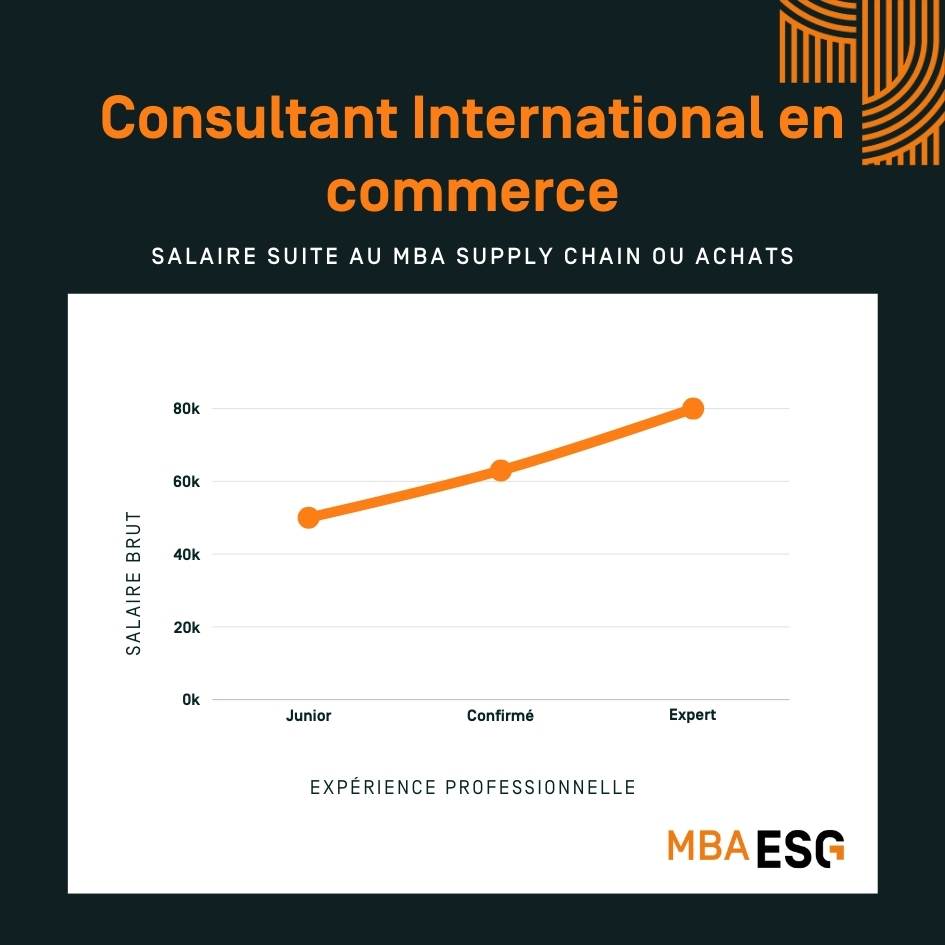 salaire_consultant_international_en_commerce