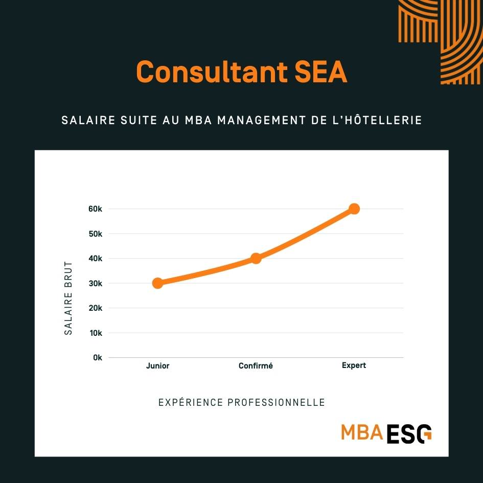 Salaire consultant SEA