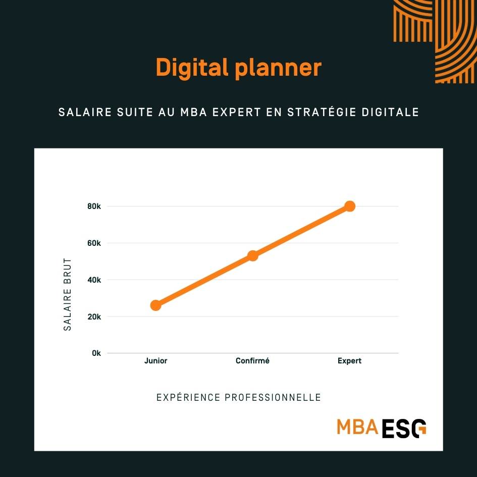 infographie salaire digital planner