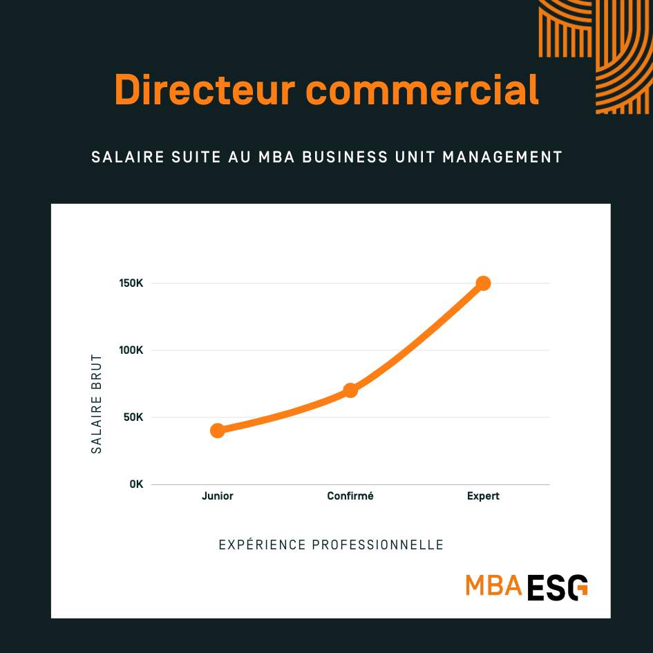 Infographie salaire directeur commercial