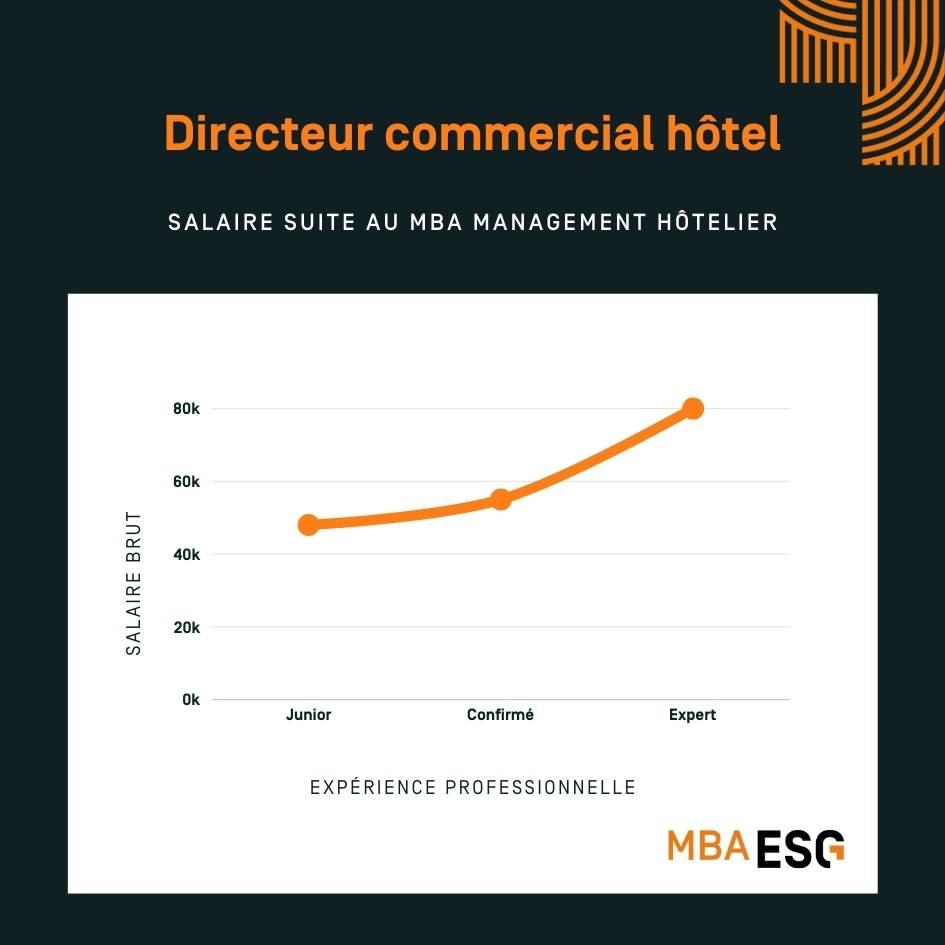 infographie salaire directeur commercial hotel