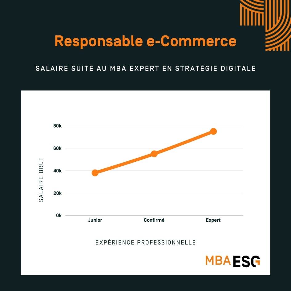 Salaire responsable ecommerce