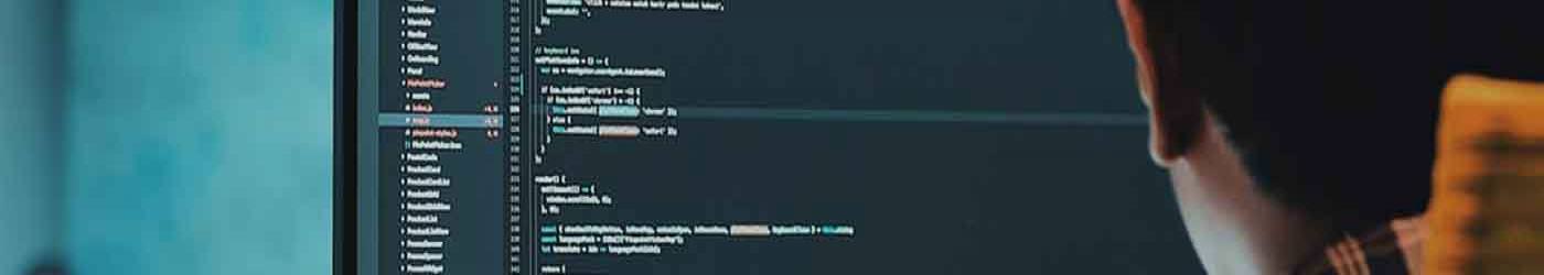 MBA Big Data - Chief Data Officer MBA Big Data - Chief Data Officer